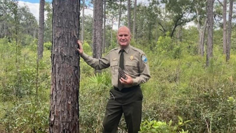 A Park Ranger wearing class A uniform holding a pinecone next to a longleaf pine