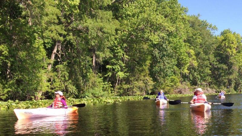Paddling at Dunns Creek