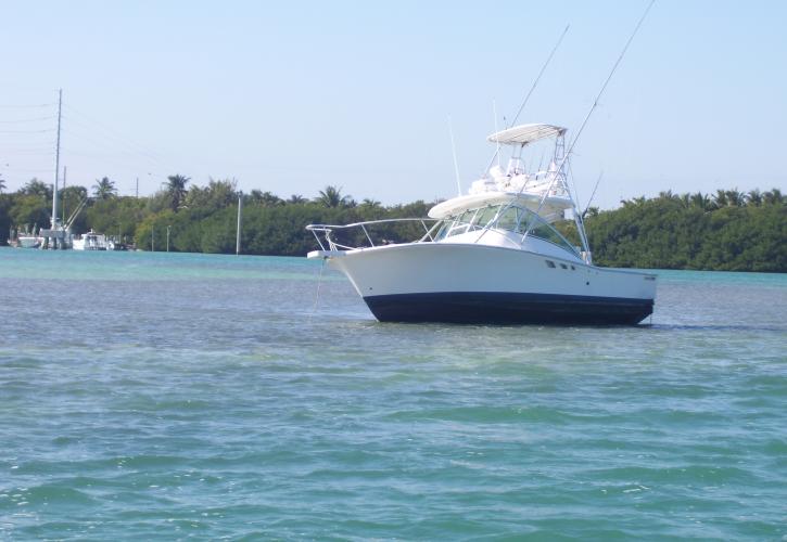 Boat sitting on seagrass flat