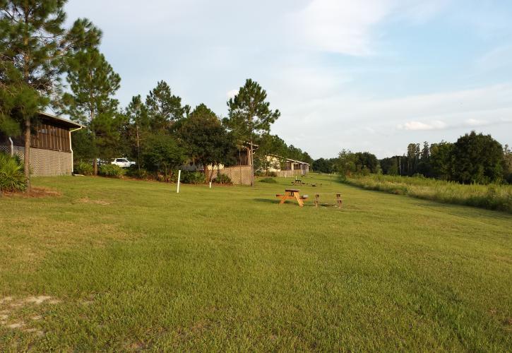 Lake Louisa Cabins