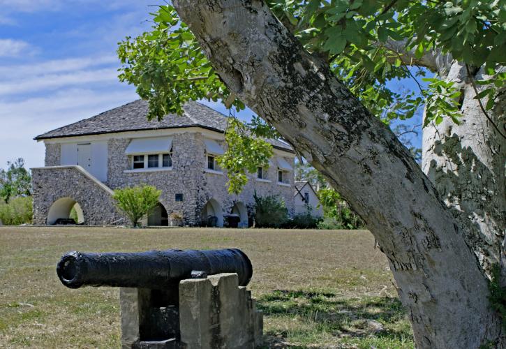 A cannon sits by a tree on the lawn of the Matheson House.