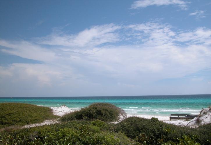 Vegetated dunes meet white sandy beach and emerald green waters.