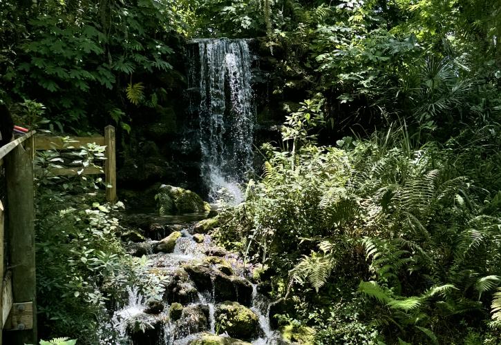 Waterfall