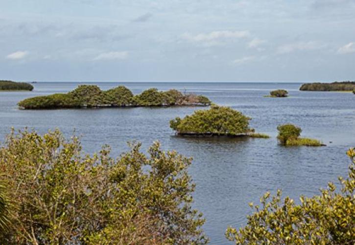 Werner-Boyce Salt Springs